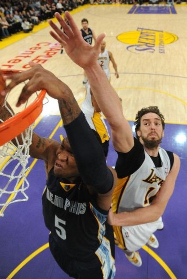 提供语义锚 提供语义锚