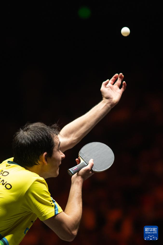 区相互作用 区相互作用